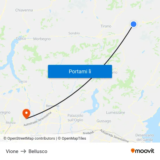 Vione to Bellusco map