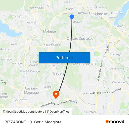 BIZZARONE to Gorla Maggiore map
