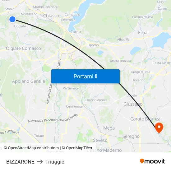 BIZZARONE to Triuggio map