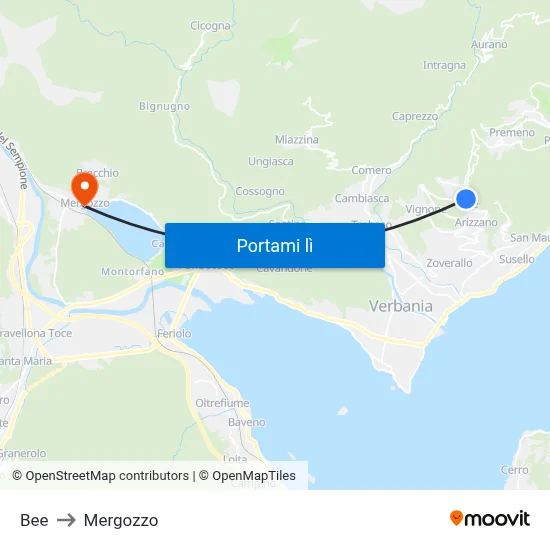 Bee to Mergozzo map