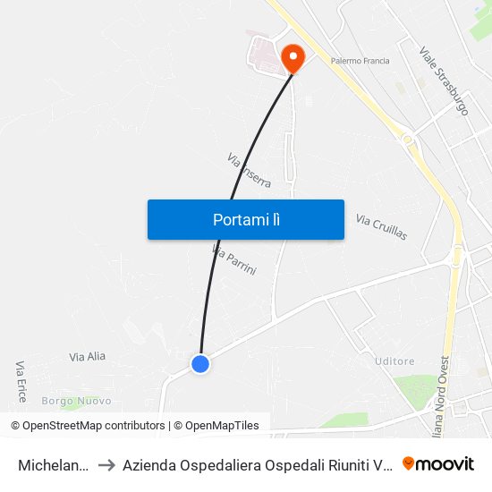 Michelangelo 5 to Azienda Ospedaliera Ospedali Riuniti Villa Sofia - Cervello map