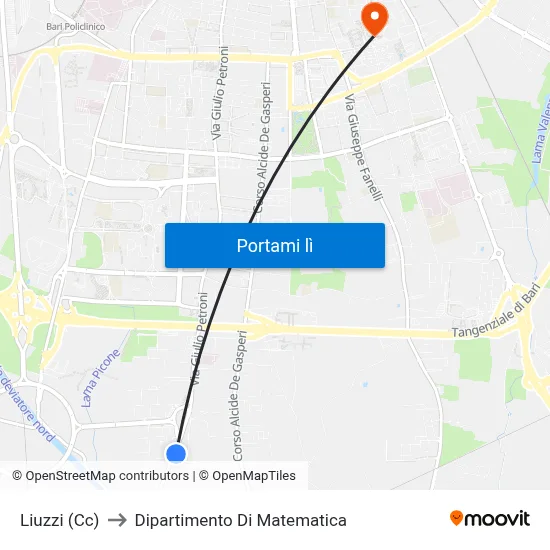 Liuzzi (Cc) to Dipartimento Di Matematica map