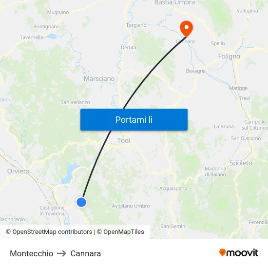 Montecchio to Cannara map