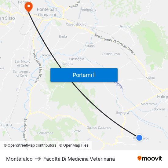 Montefalco to Facoltà Di Medicina Veterinaria map