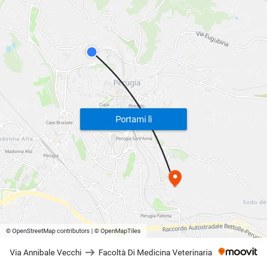 Via Annibale Vecchi to Facoltà Di Medicina Veterinaria map