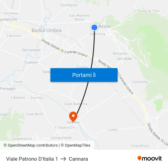 Viale Patrono D'Italia 1 to Cannara map