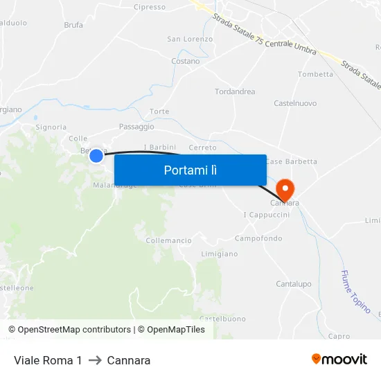 Viale Roma 1 to Cannara map