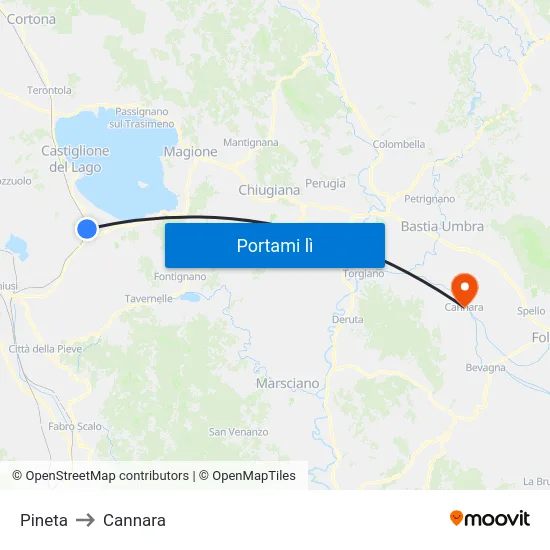 Pineta to Cannara map