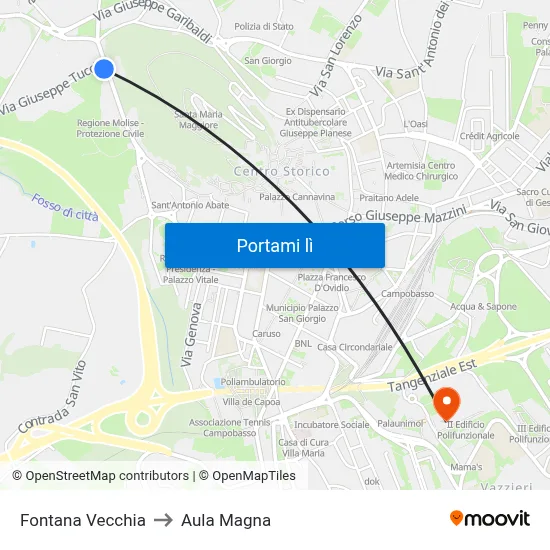 Fontana Vecchia to Aula Magna map