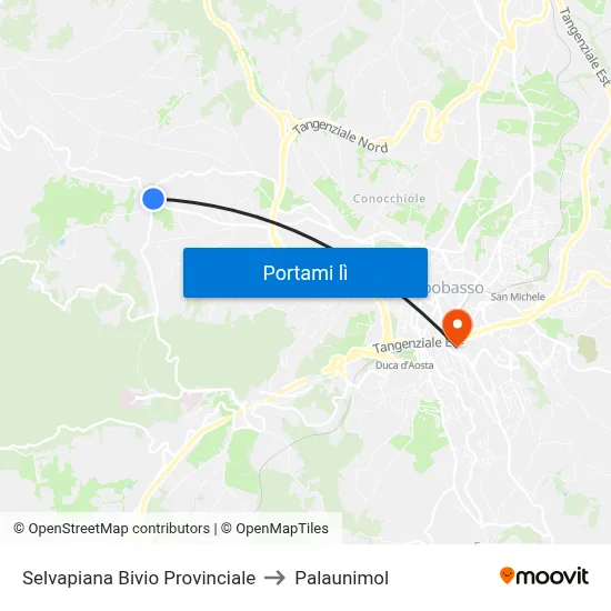 Selvapiana Bivio Provinciale to Palaunimol map