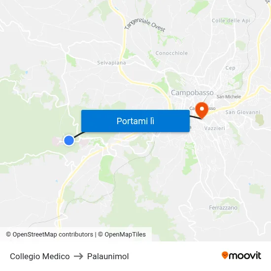 Collegio Medico to Palaunimol map