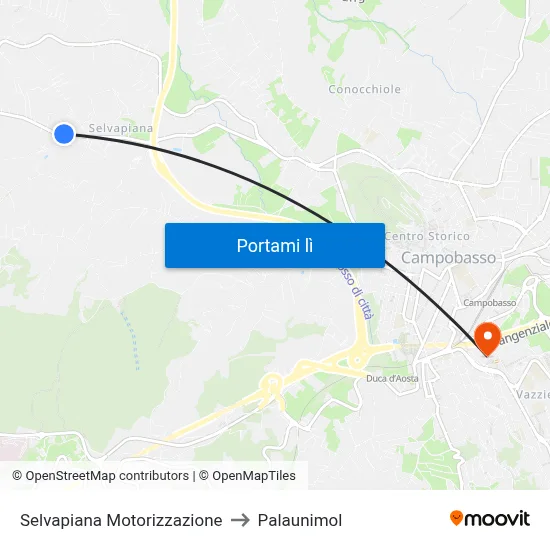 Selvapiana Motorizzazione to Palaunimol map