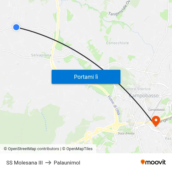 SS Molesana III to Palaunimol map