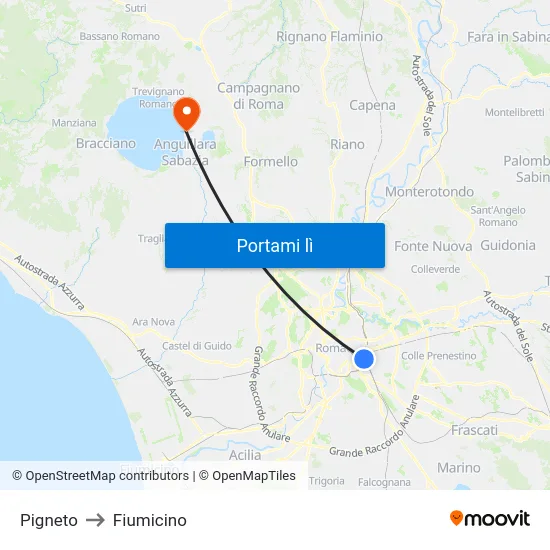 Pigneto to Fiumicino map