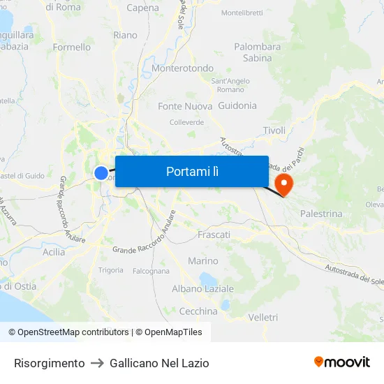 Risorgimento to Gallicano Nel Lazio map