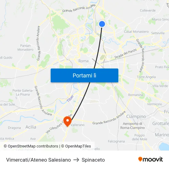 Vimercati/Ateneo Salesiano to Spinaceto map