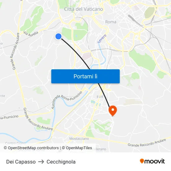 Dei Capasso to Cecchignola map