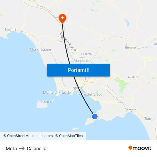 Meta to Caianello map