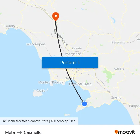 Meta to Caianello map