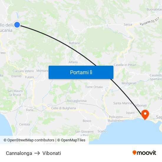 Cannalonga to Vibonati map
