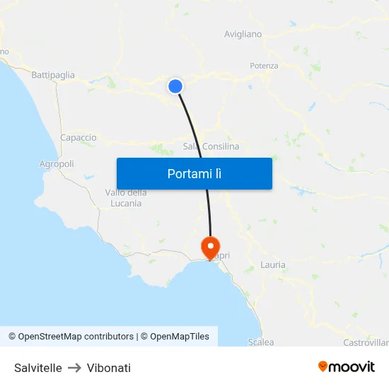 Salvitelle to Vibonati map