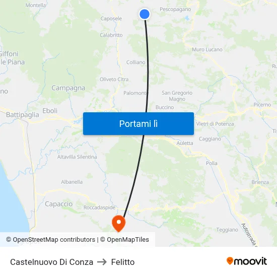 Castelnuovo Di Conza to Felitto map