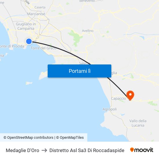 Medaglie D'Oro to Distretto Asl Sa3 Di Roccadaspide map