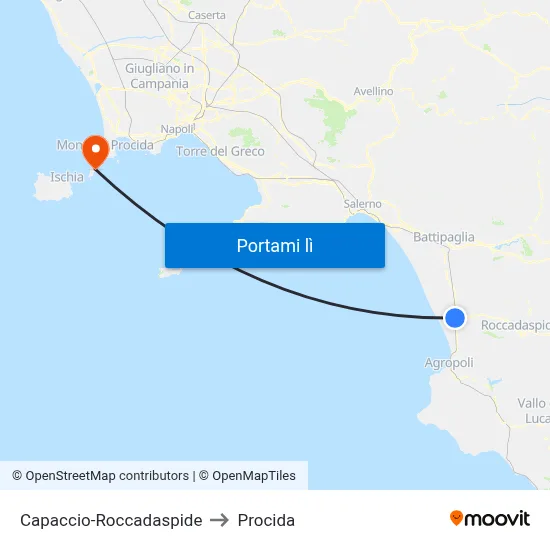 Capaccio-Roccadaspide to Procida map
