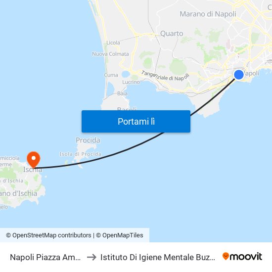 Napoli Piazza Amedeo to Istituto Di Igiene Mentale Buzziconia map