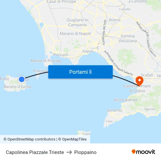 Capolinea Piazzale Trieste to Pioppaino map