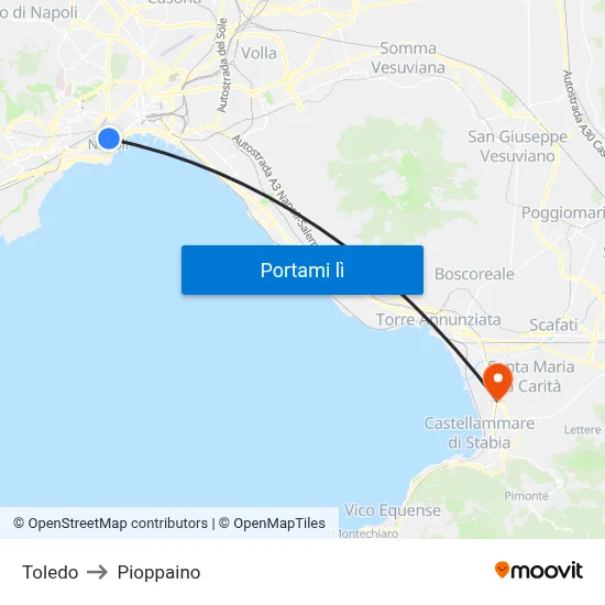 Toledo to Pioppaino map