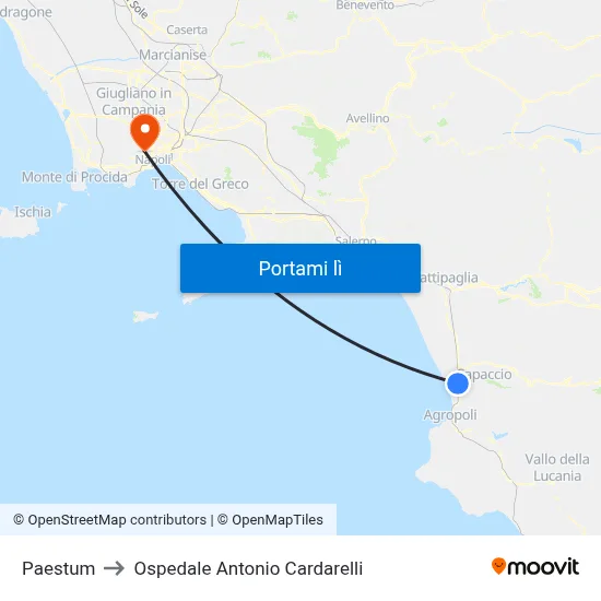 Paestum to Ospedale Antonio Cardarelli map