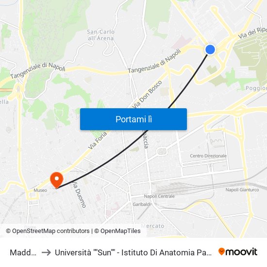 Maddalena to Università ""Sun"" - Istituto Di Anatomia Patologica ""L.Armanni"" map