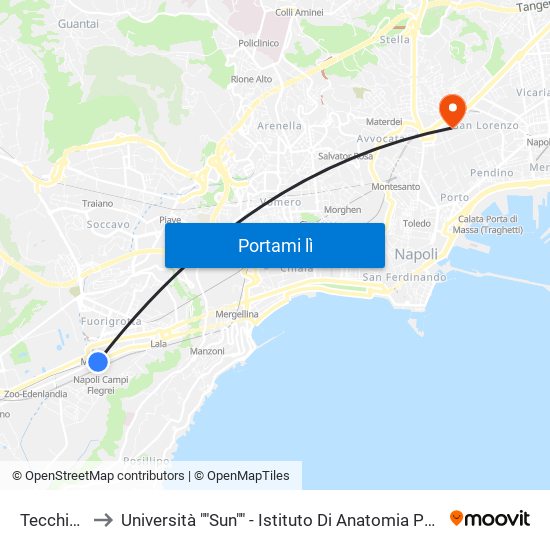 Tecchio - M2 to Università ""Sun"" - Istituto Di Anatomia Patologica ""L.Armanni"" map