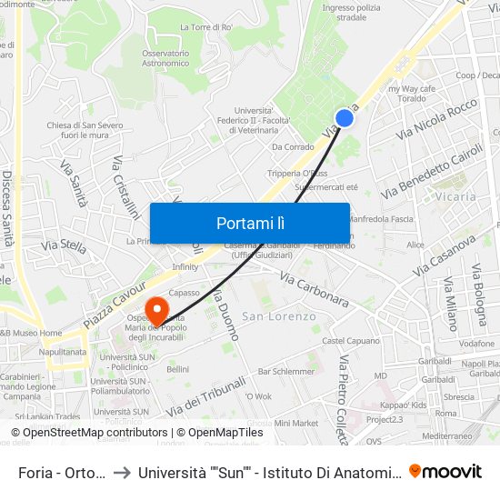 Foria - Orto Botanico to Università ""Sun"" - Istituto Di Anatomia Patologica ""L.Armanni"" map