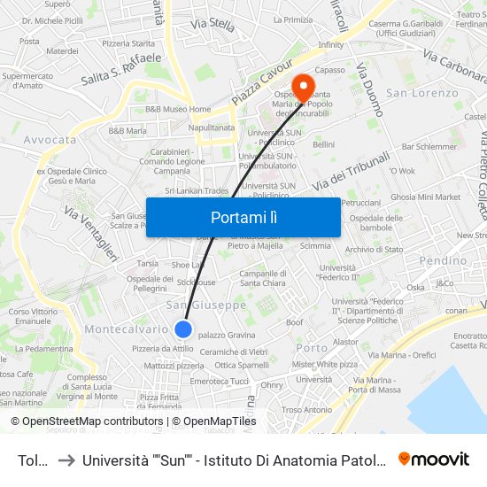 Toledo to Università ""Sun"" - Istituto Di Anatomia Patologica ""L.Armanni"" map