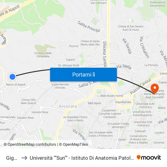 Gigante to Università ""Sun"" - Istituto Di Anatomia Patologica ""L.Armanni"" map