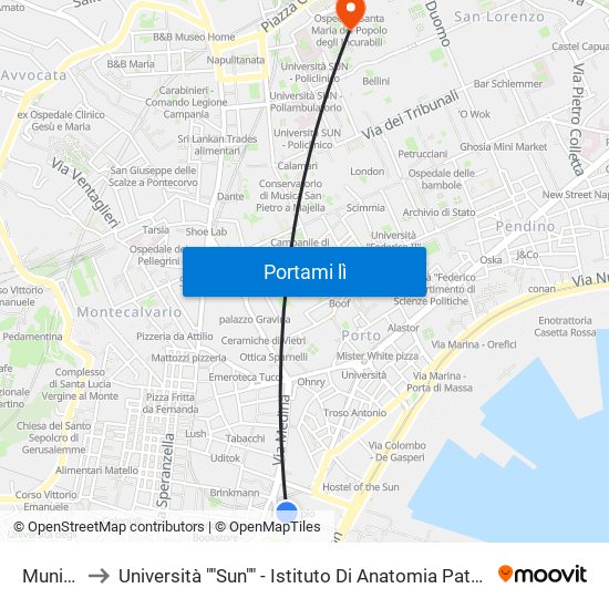 Municipio to Università ""Sun"" - Istituto Di Anatomia Patologica ""L.Armanni"" map