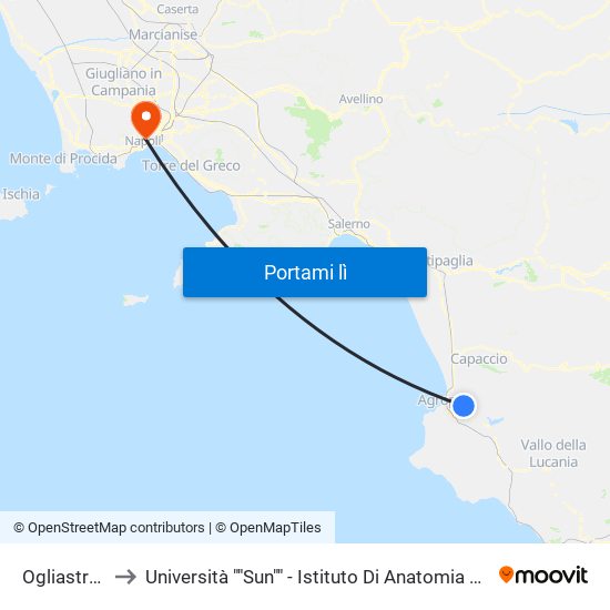Ogliastro, Ss18 to Università ""Sun"" - Istituto Di Anatomia Patologica ""L.Armanni"" map