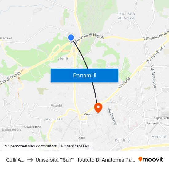 Colli Aminei to Università ""Sun"" - Istituto Di Anatomia Patologica ""L.Armanni"" map