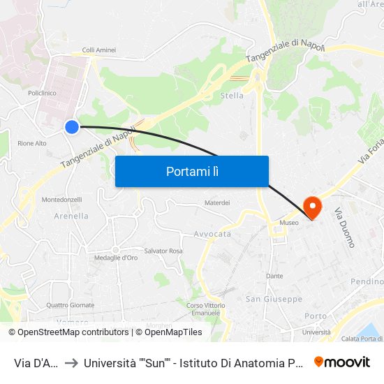 Via D'Antona to Università ""Sun"" - Istituto Di Anatomia Patologica ""L.Armanni"" map