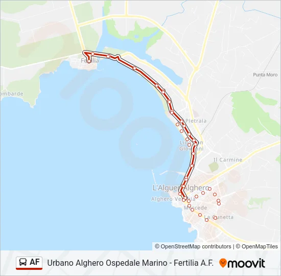 AF Bus Line Map