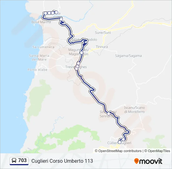 703 Bus Line Map