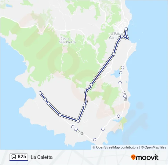 825 Bus Line Map