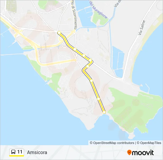 11 Bus Line Map