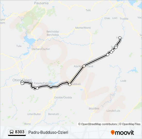 Percorso linea bus 8303