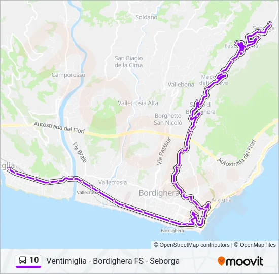 10 Bus Line Map