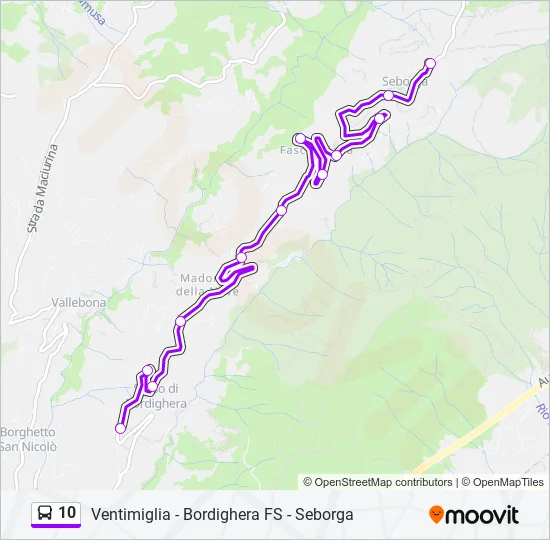 10 Bus Line Map