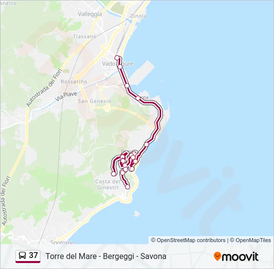 37 Bus Line Map