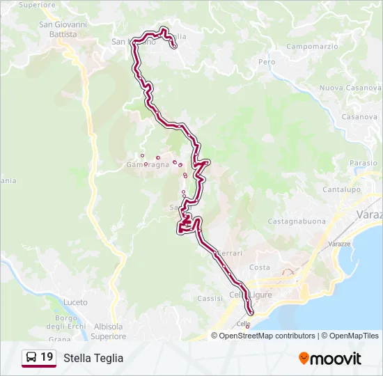 19 Bus Line Map